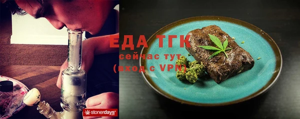 гашик Туринск