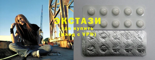 гашик Туринск