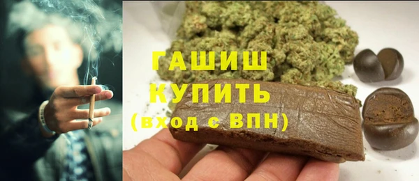 гашик Туринск