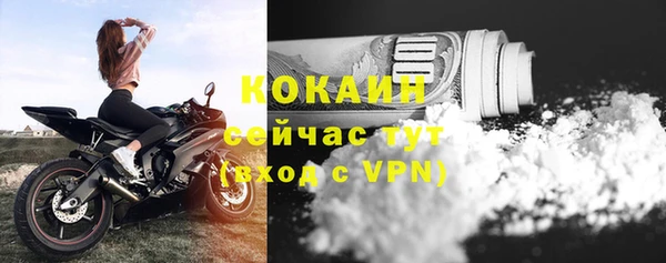 ГАЛЛЮЦИНОГЕННЫЕ ГРИБЫ Тутаев