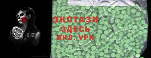 гашик Туринск