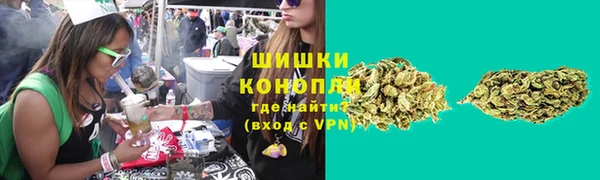 сатива Тында