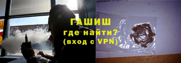 гашик Туринск