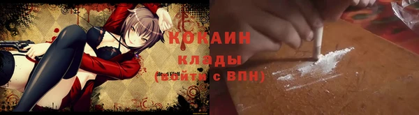 ГАЛЛЮЦИНОГЕННЫЕ ГРИБЫ Тутаев