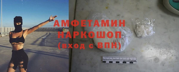 гашик Туринск
