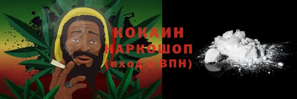 ГАЛЛЮЦИНОГЕННЫЕ ГРИБЫ Тутаев