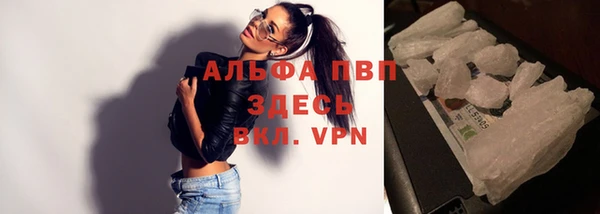 гашик Туринск