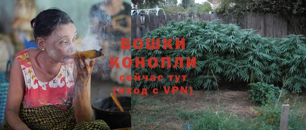гашик Туринск
