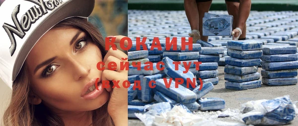 гашик Туринск