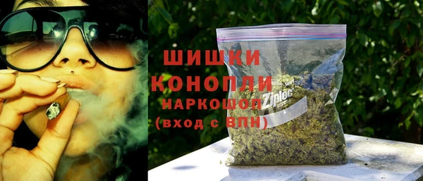 сатива Тында