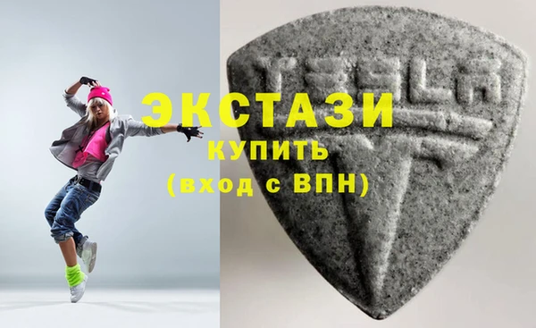 гашик Туринск