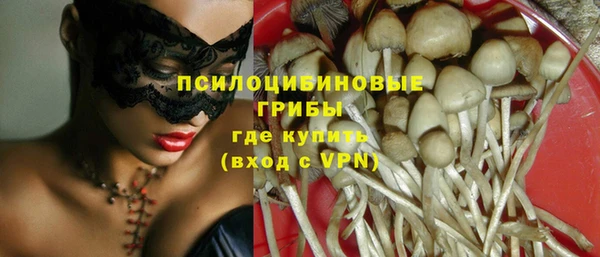 гашик Туринск