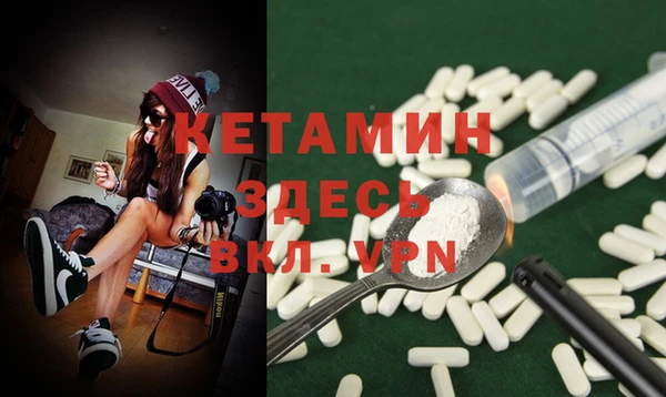 гашик Туринск