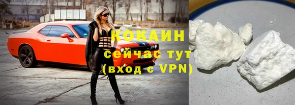 гашик Туринск